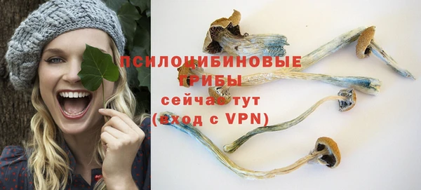 прущая мука Няндома
