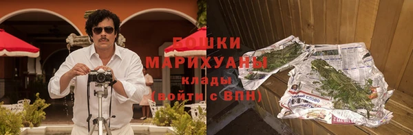 индика Новозыбков