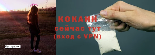 прущая мука Няндома