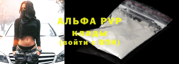 индика Новозыбков