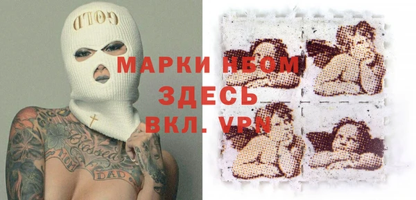 индика Новозыбков