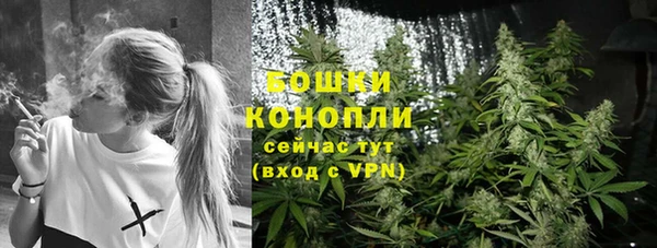 прущая мука Няндома