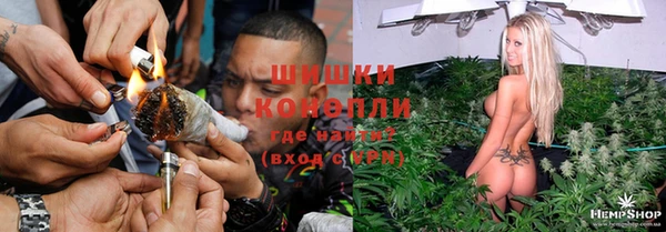 ешки Новокубанск