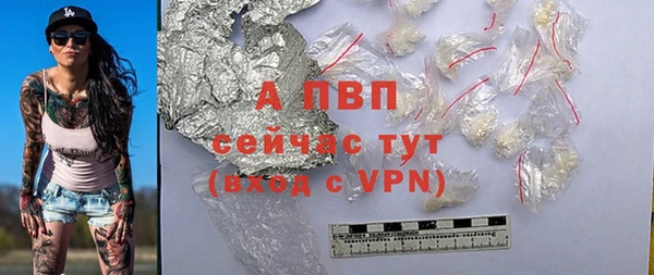 ешки Новокубанск
