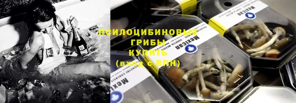 индика Новозыбков