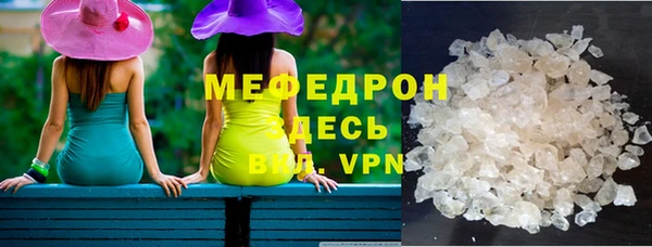 индика Новозыбков